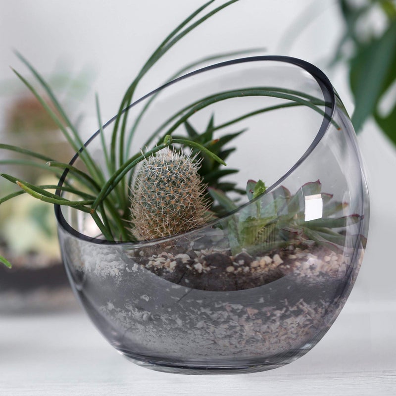 CYS EXCEL Glass Slant Cut Bubble Bowl (H-8" W-9") Clear Flower Vase Globe Bowl Terrarium Round Planter Decorative Centerpiece - Image 3